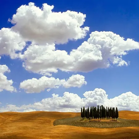 Апартаменты Uptown - Sabrina's Cozy Сиена